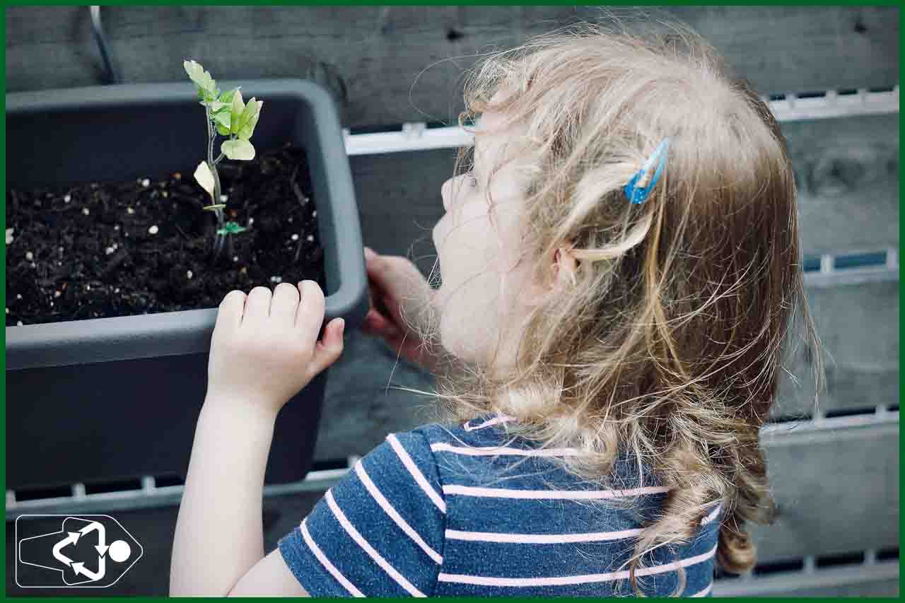 El sprout lápiz es fundamental en educación ambiental, no solo es un lapiz plantable, tambien sirve para enseñar ecologia
